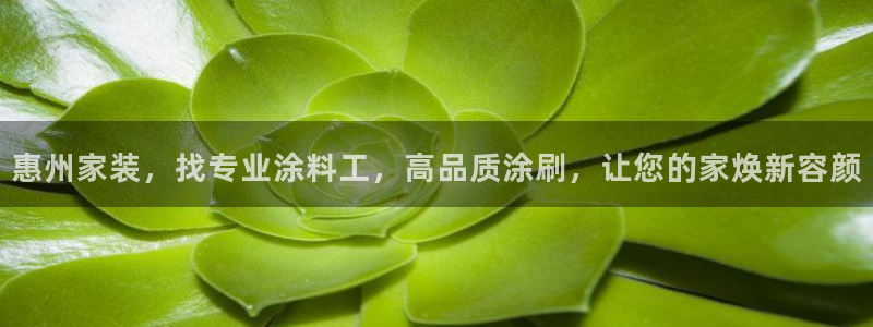 江苏和记数码科技有限公司：惠州家装，找专业涂料工，高品质涂刷，让您的家焕新容颜