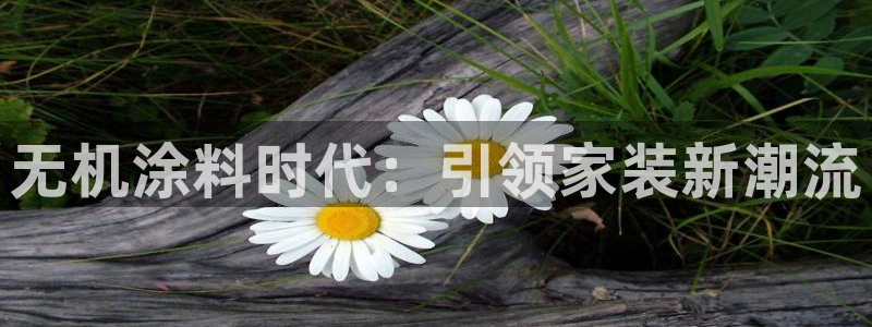 上海和记餐饮：无机涂料时代：引领家装新潮流