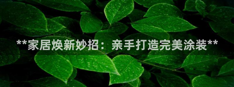 和记h88游戏：**家居焕新妙招：亲手打造完美涂装**