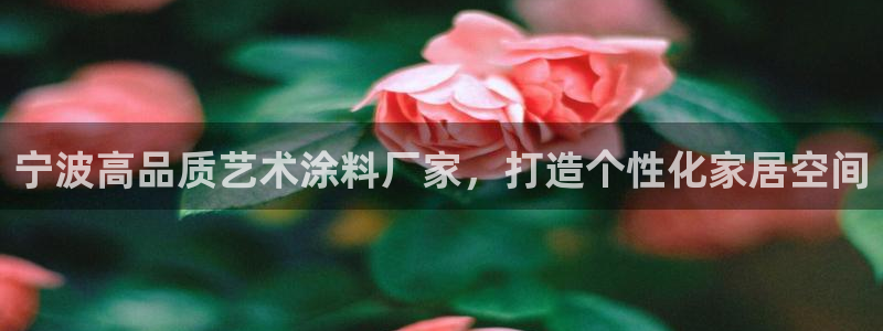 和记h88游戏