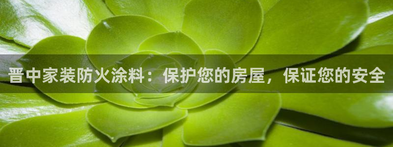 和记ag捕鱼害死多少人：晋中家装防火涂料：保护您的房屋，保证您的安全