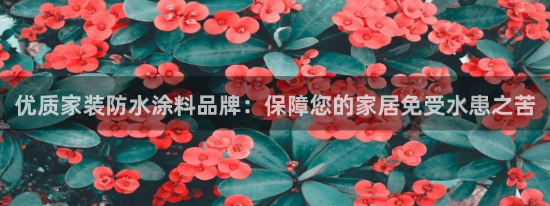 和记最新官方网址