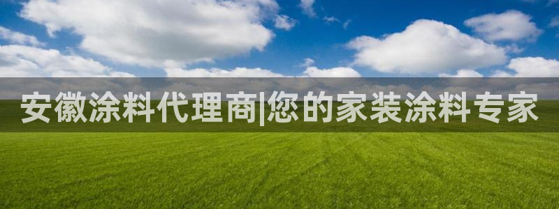 和记官方：安徽涂料代理商|您的家装涂料专家
