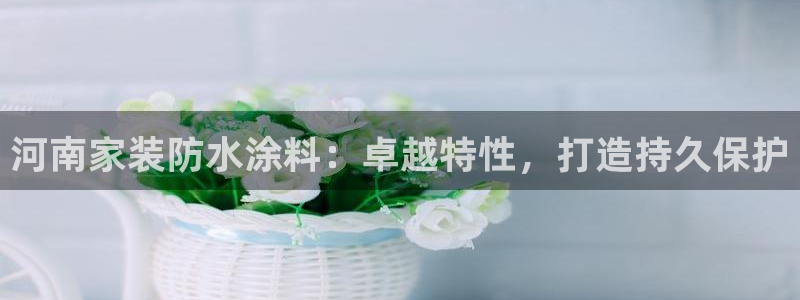 官方和记国际平台登录：河南家装防水涂料：卓越特性，打造持久保护