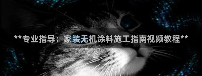 和记下载：**专业指导：家装无机涂料施工指南视频教程**