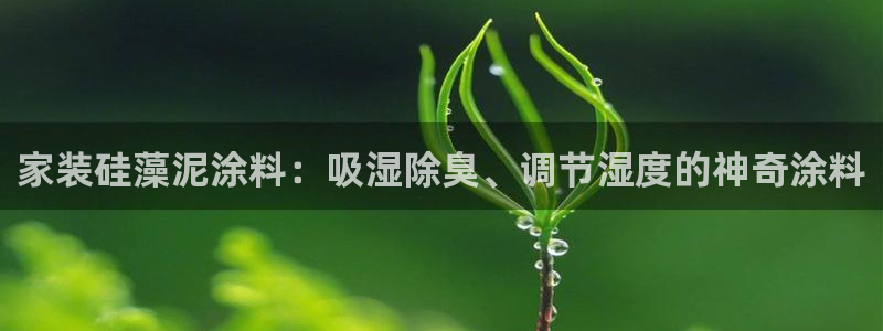 和记港口：家装硅藻泥涂料：吸湿除臭、调节湿度的神奇涂料