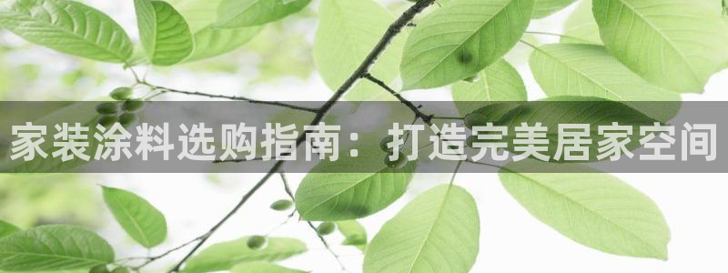 和记ag旗舰：家装涂料选购指南：打造完美居家空间