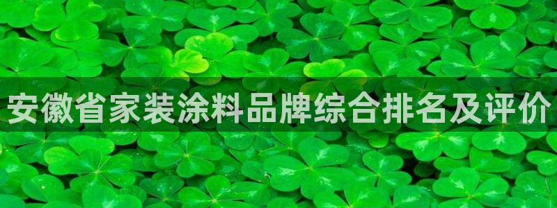 和记旗舰厅：安徽省家装涂料品牌综合排名及评价