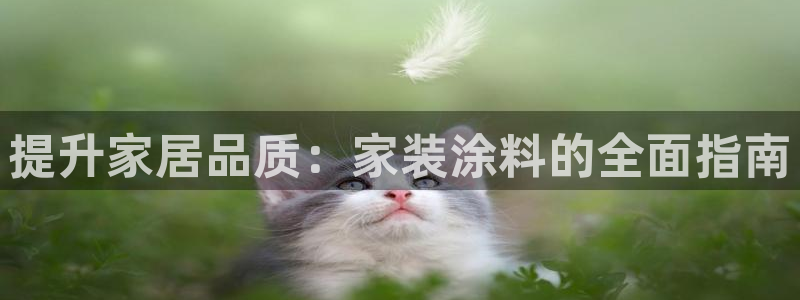 和记hj：提升家居品质：家装涂料的全面指南