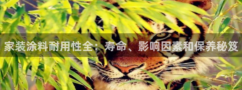 和记app官网：家装涂料耐用性全：寿命、影响因素和保养秘笈