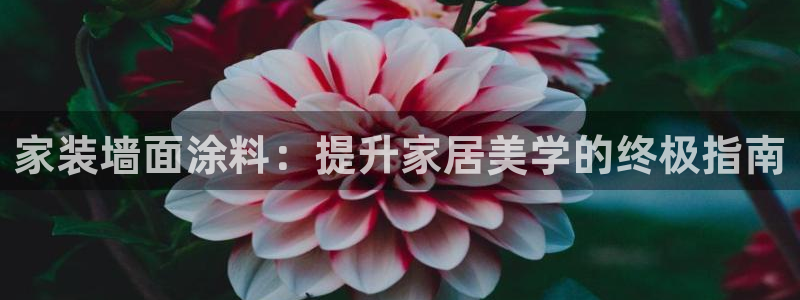 和记国际电讯市值：家装墙面涂料：提升家居美学的终极指南