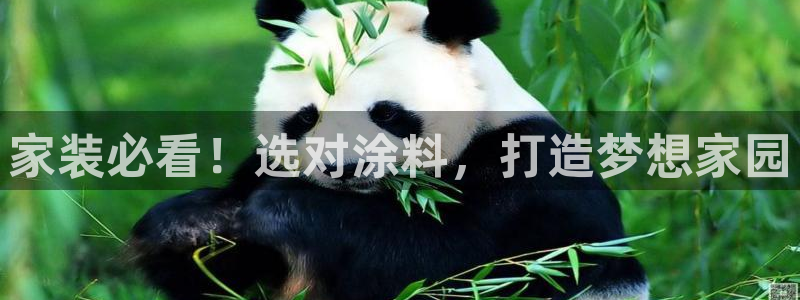 和记官网登陆：家装必看！选对涂料，打造梦想家园