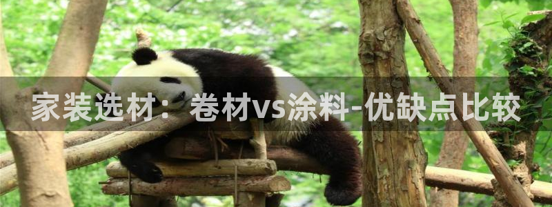 和记平台登陆：家装选材：卷材vs涂料-优缺点比较