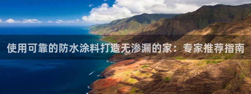和记官网 公司：使用可靠的防水涂料打造无渗漏的家：专家推荐指南
