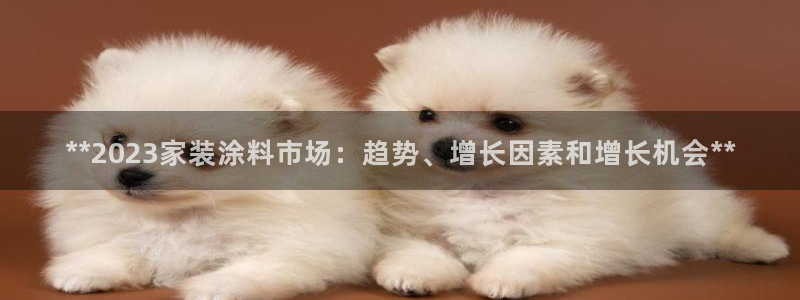 和记国际开户网站：**2023家装涂料市场：趋势、增长因素和增长机会**