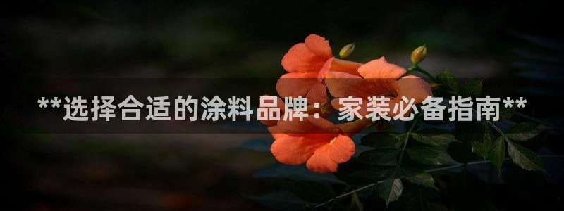 和记最新官方网址
