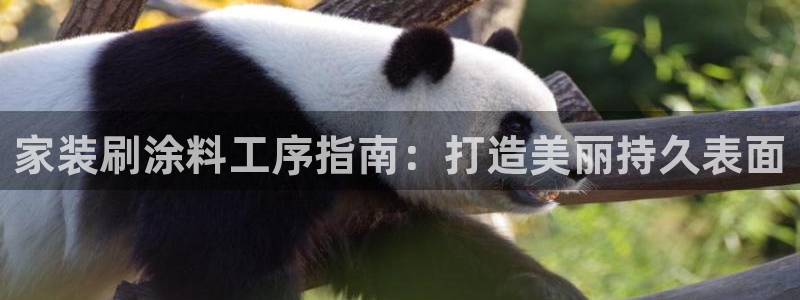 和记h8