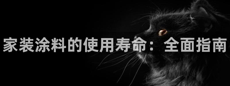 和记电业集团