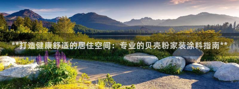 和记Ag：**打造健康舒适的居住空间：专业的贝壳粉家装涂料指南**