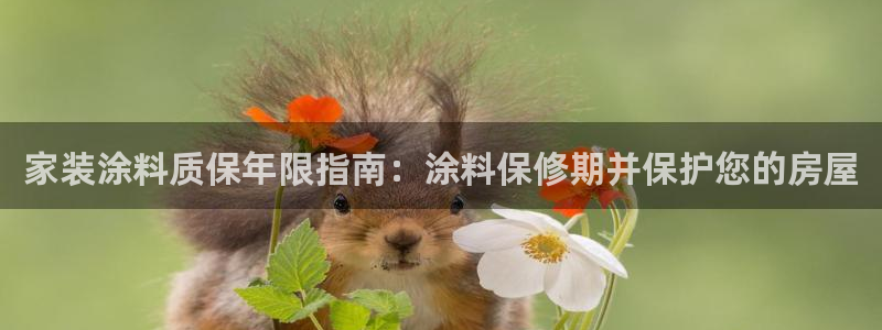 和记hj