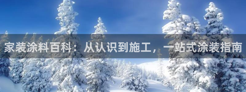 和记paging