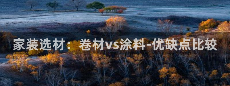 和记AG：家装选材：卷材vs涂料-优缺点比较