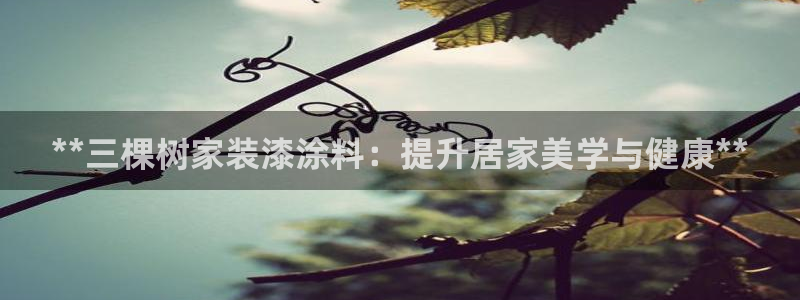 和记国际官网官网
