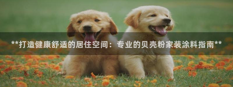 和记app官网登录：**打造健康舒适的居住空间：专业的贝壳粉家装涂料指南**