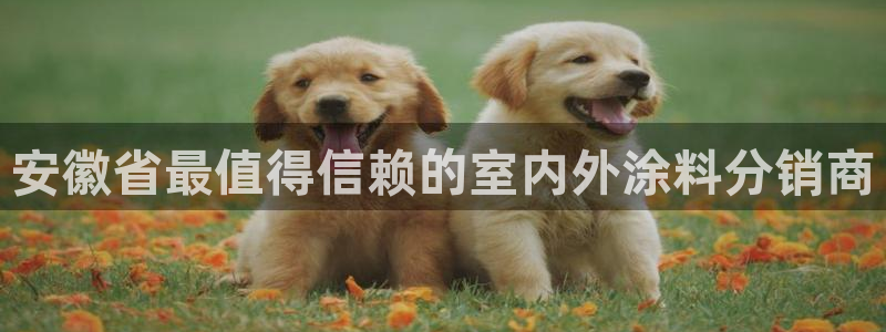 和记 首页