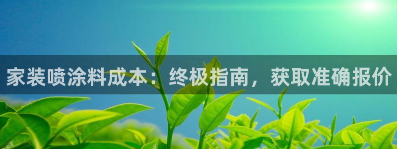 和记娱好网址：家装喷涂料成本：终极指南，获取准确报价