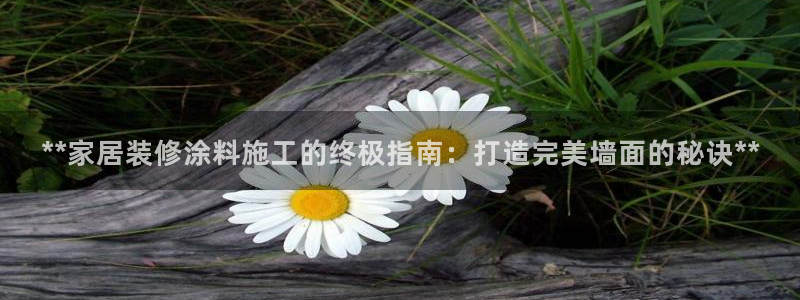 和记ag登录：**家居装修涂料施工的终极指南：打造完美墙面的秘诀**