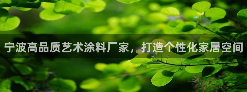 和记(福建)商贸有限公司招聘：宁波高品质艺术涂料厂家，打造个性化家居空间