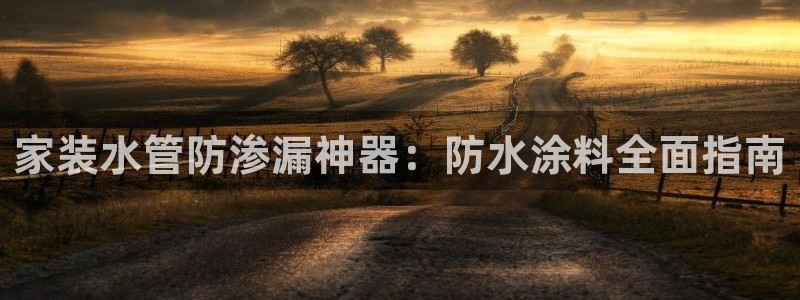 和记网页：家装水管防渗漏神器：防水涂料全面指南