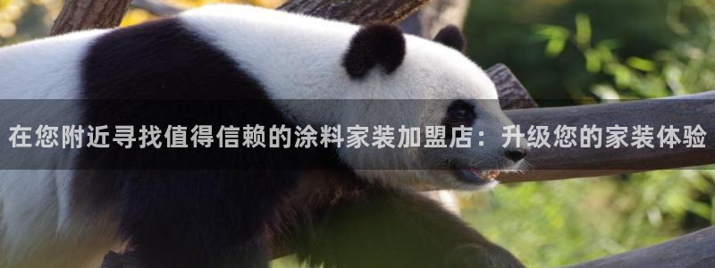 和记注册有什么送的：在您附近寻找值得信赖的涂料家装加盟店：升级您的家装体验