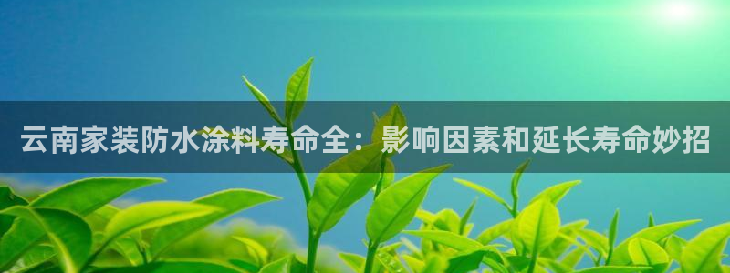 和记h188：云南家装防水涂料寿命全：影响因素和延长寿命妙招