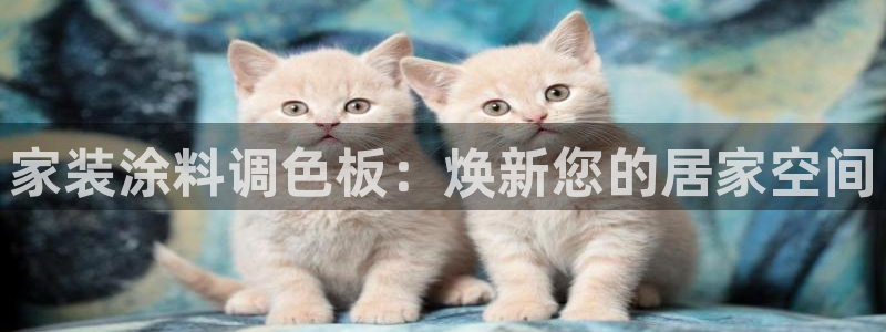 和记注册有什么送的：家装涂料调色板：焕新您的居家空间