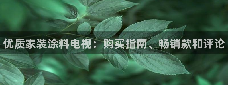和记(福建)商贸有限公司：优质家装涂料电视：购买指南、畅销款和评论