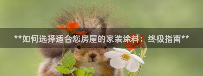 和记 中国首页：**如何选择适合您房屋的家装涂料：终极指南**
