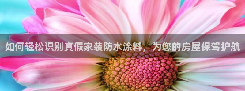 上海和记餐饮：如何轻松识别真假家装防水涂料，为您的房屋保驾护航