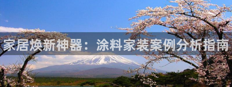 和记网页版登陆：家居焕新神器：涂料家装案例分析指南