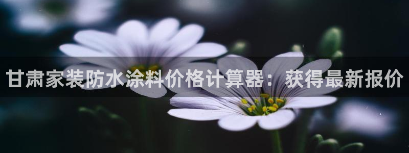 和记广告女主角