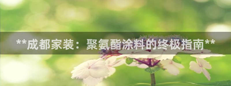 和记网页版登陆：**成都家装：聚氨酯涂料的终极指南**