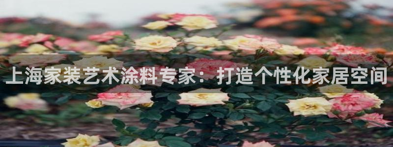 和记最新官方网址：上海家装艺术涂料专家：打造个性化家居空间
