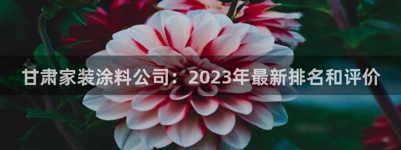 和记官网首页：甘肃家装涂料公司：2023年最新排名和评价