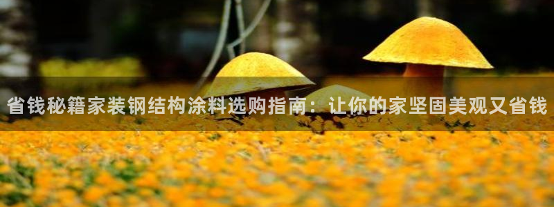 和记h188：省钱秘籍家装钢结构涂料选购指南：让你的家坚固美观又省钱