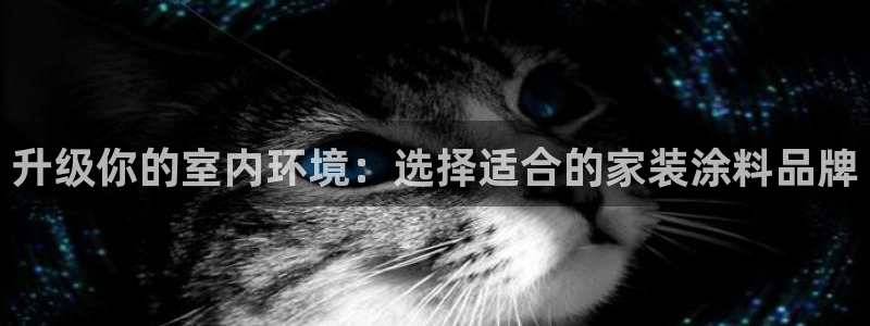 和记2017app：升级你的室内环境：选择适合的家装涂料品牌
