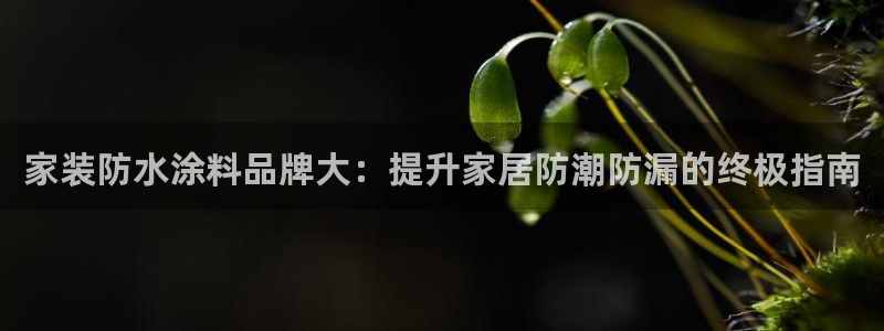 和记 首页：家装防水涂料品牌大：提升家居防潮防漏的终极指南