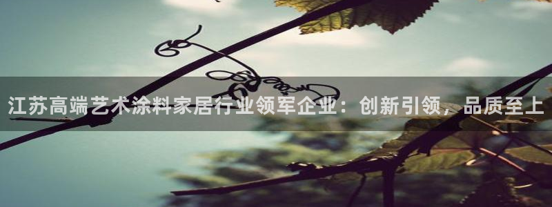 和记5g电讯：江苏高端艺术涂料家居行业领军企业：创新引领，品质至上