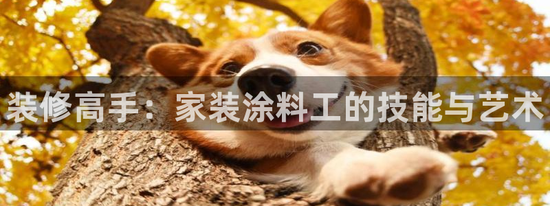 和记国际听