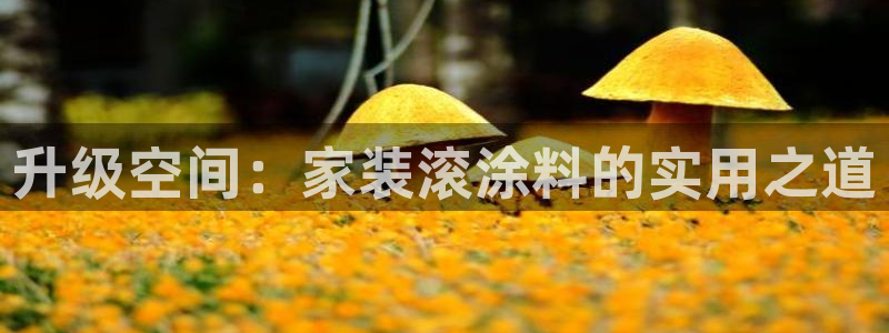 江苏和记数码科技有限公司：升级空间：家装滚涂料的实用之道